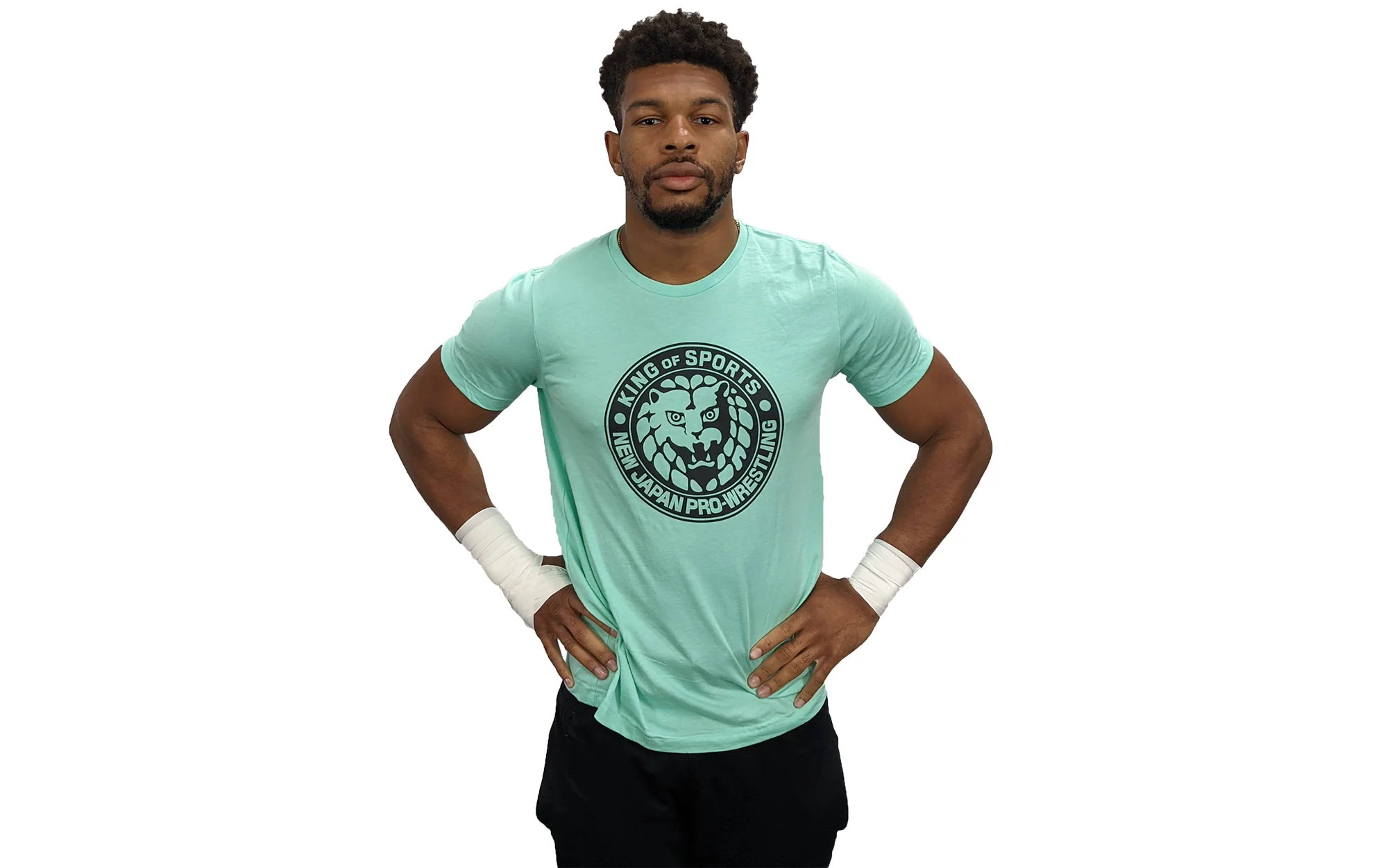 Choose your own color Lion Mark T-Shirt (Black Logo) - Image 5