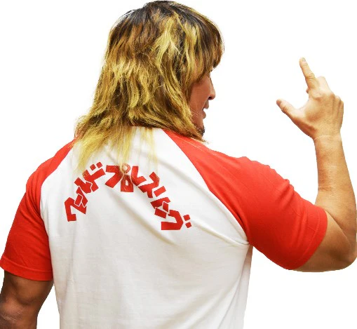 Lion Mark Classic Raglan T-shirt (Red)【Imported】 - Image 4