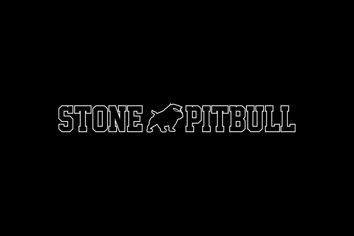Tomohiro Ishii - STONE PITBULL T-shirt (2026) - Image 4
