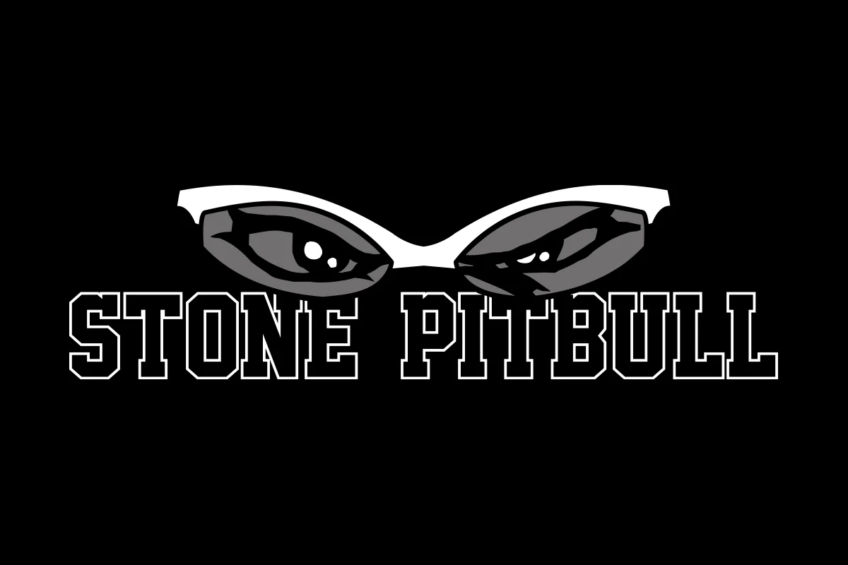 Tomohiro Ishii - STONE PITBULL T-shirt (2026) - Image 5
